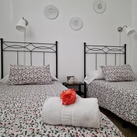 Lola فيلة بلايا بلانكا